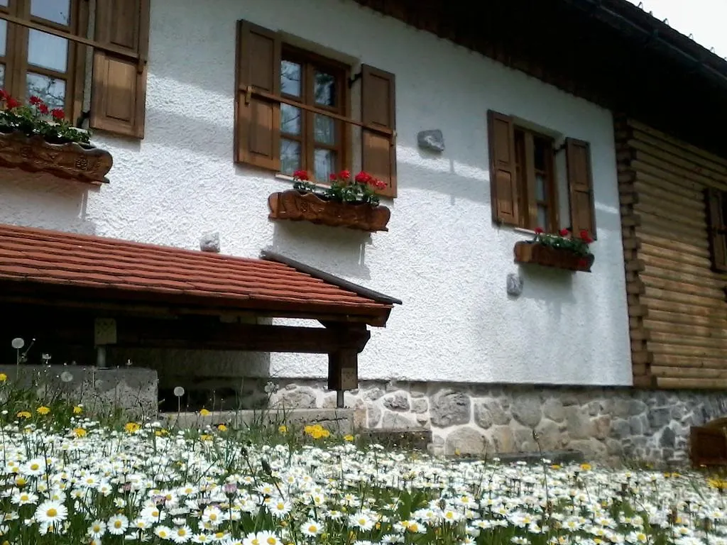 Holiday House Sobol Kuzelj