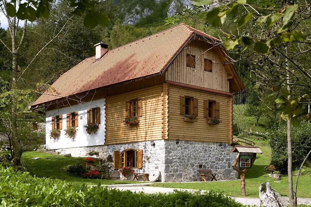 Holiday House Sobol Kuzelj