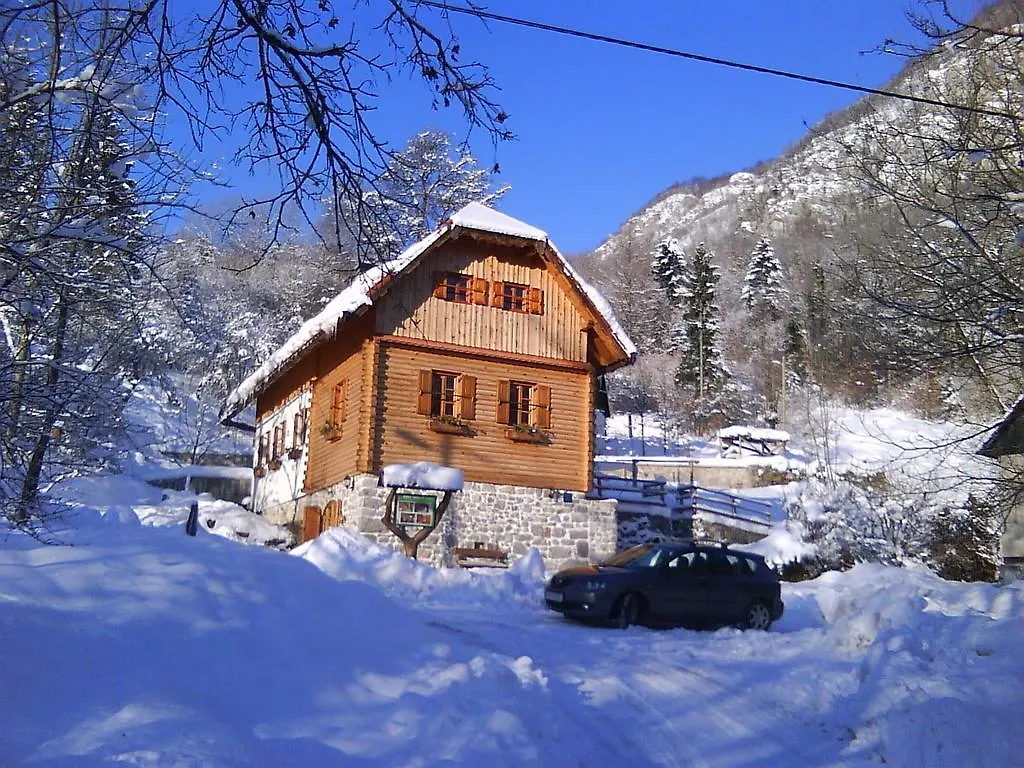 Holiday home Holiday House Sobol Kuzelj