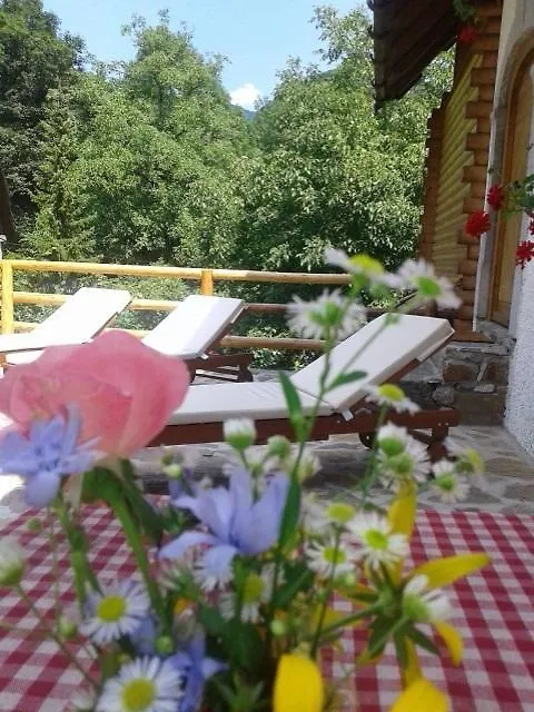 Holiday House Sobol Kuzelj 0*,