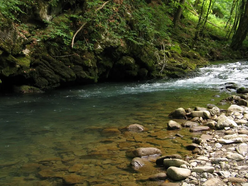Holiday home Holiday House Sobol Kuzelj
